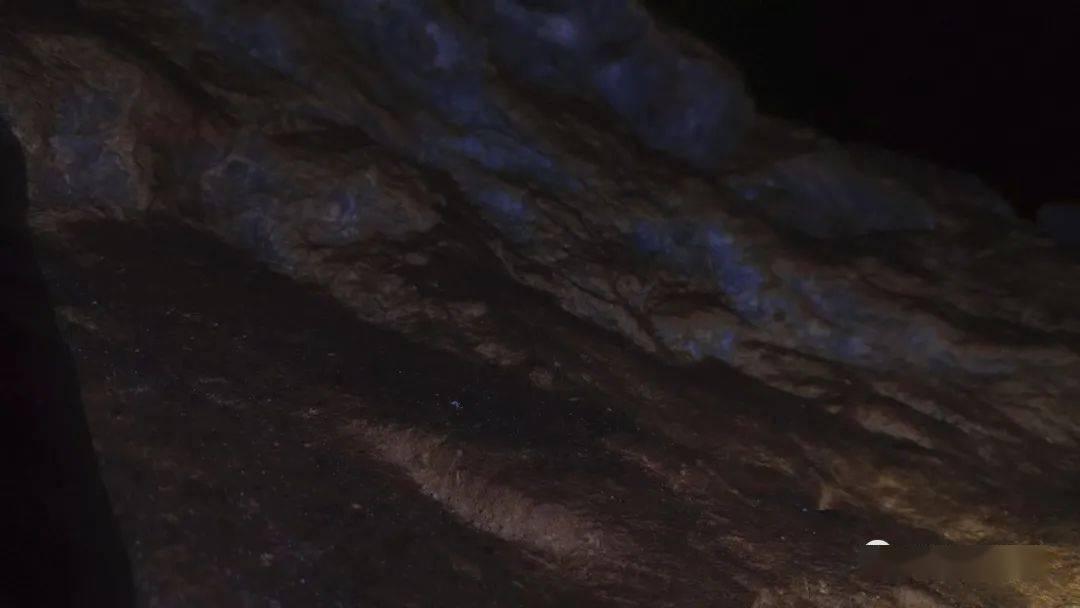 棒球训练赛